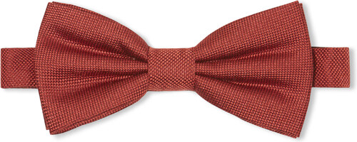 Celio noeud papillon rouge